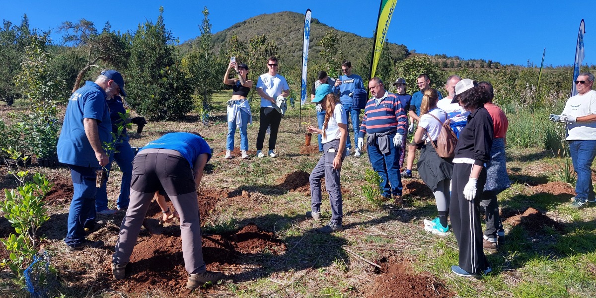 Día de la reforestación