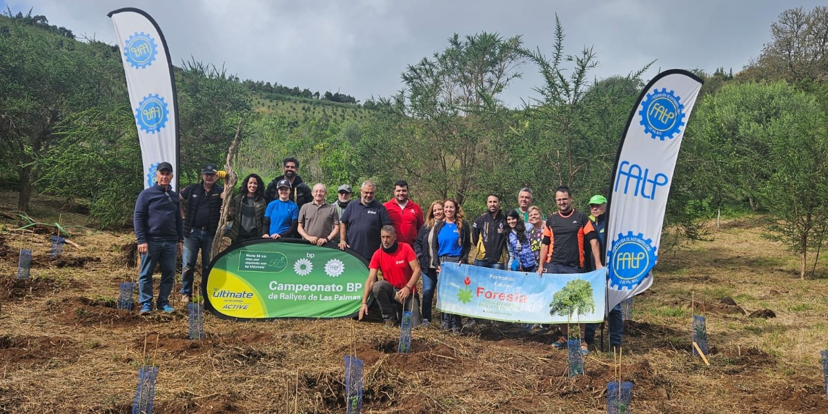 Reforestación de la isla de Gran Canaria